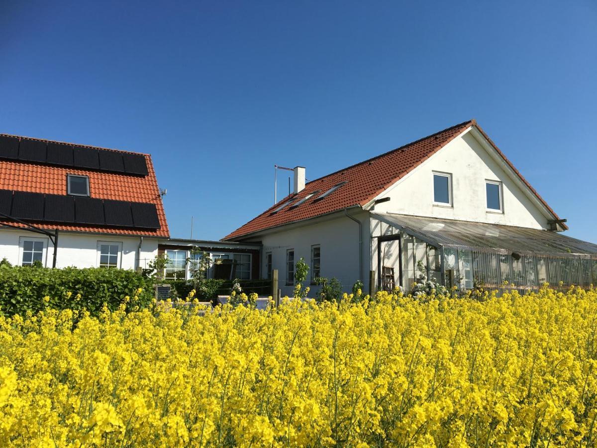 Margretelyst Bed and Breakfast Farsø Εξωτερικό φωτογραφία